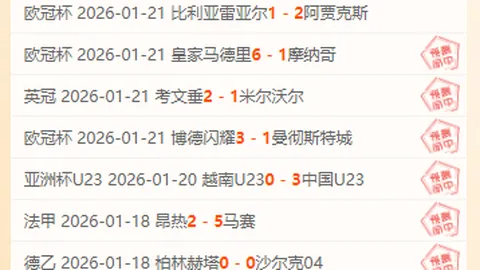 吉拉西独中三元，多特主场4-2逆转波鸿取胜